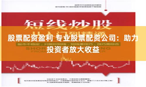 股票配资盈利 专业股票配资公司：助力投资者放大收益