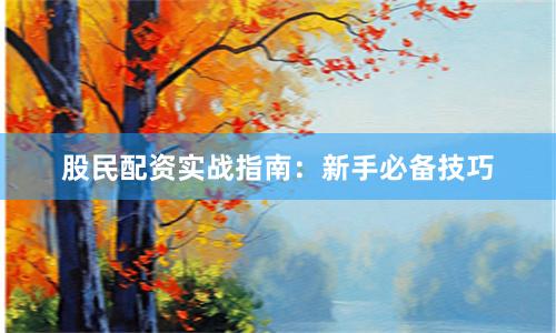股民配资实战指南：新手必备技巧